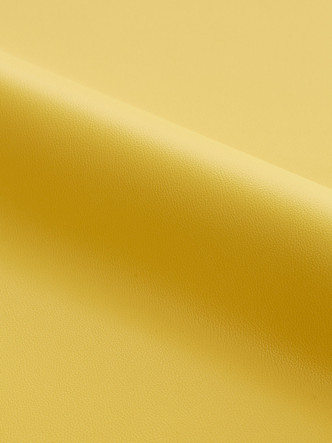Clark | Outdoor - Goldenrod - Scalamandre Fabric