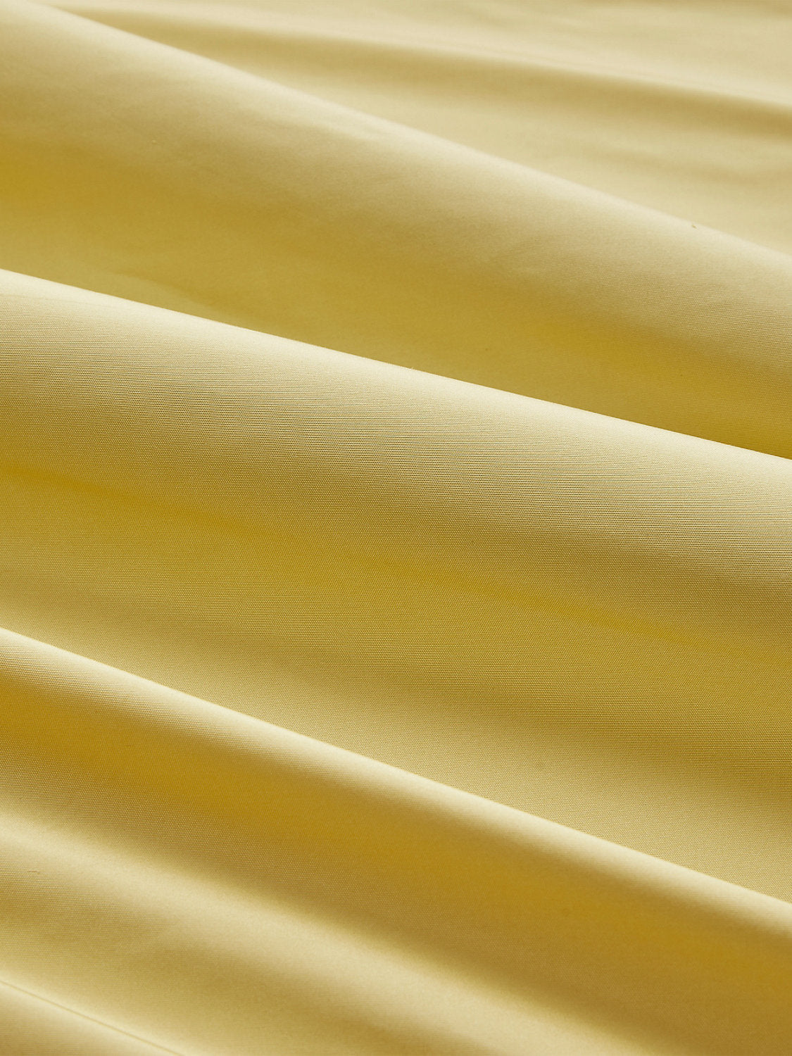 Olympia Silk Taffeta - Daffodil