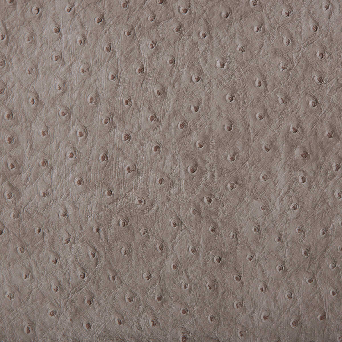 Kravet Design - Senna-11 - KRAVET DESIGN Tela