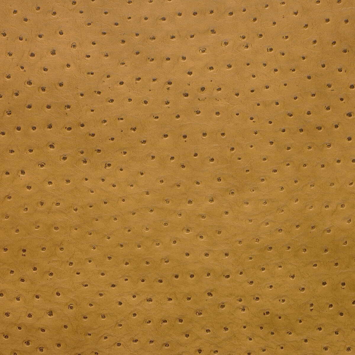 Kravet Design - Senna-4