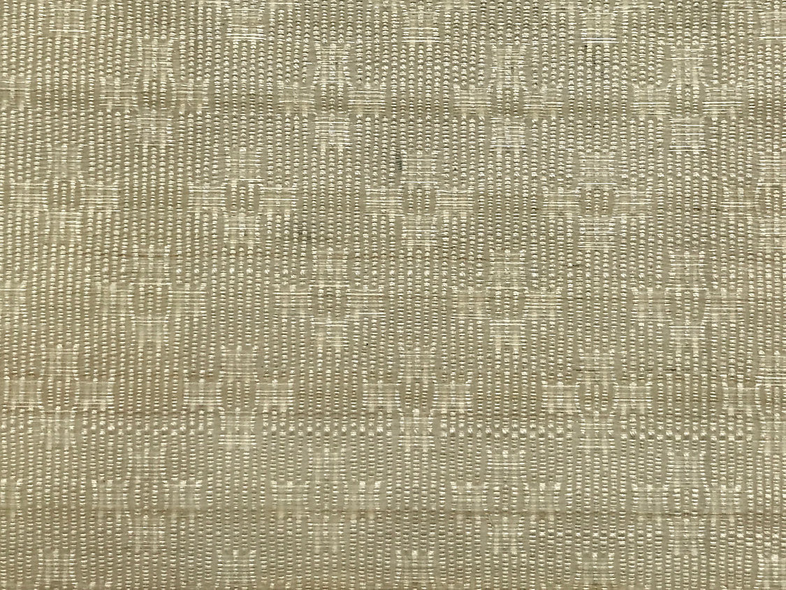 Ermine Horsehair - Ivory - Scalamandre Fabric
