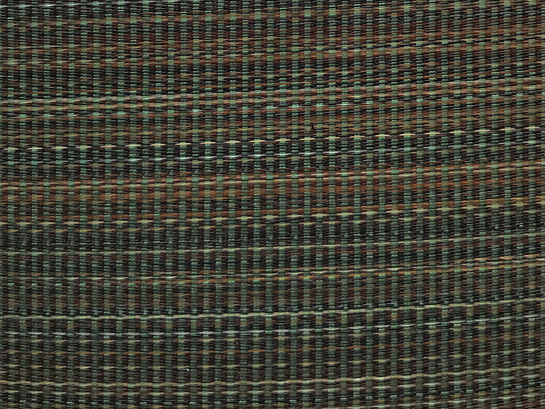 Selle Horsehair - Green / Grey - Scalamandre Fabric