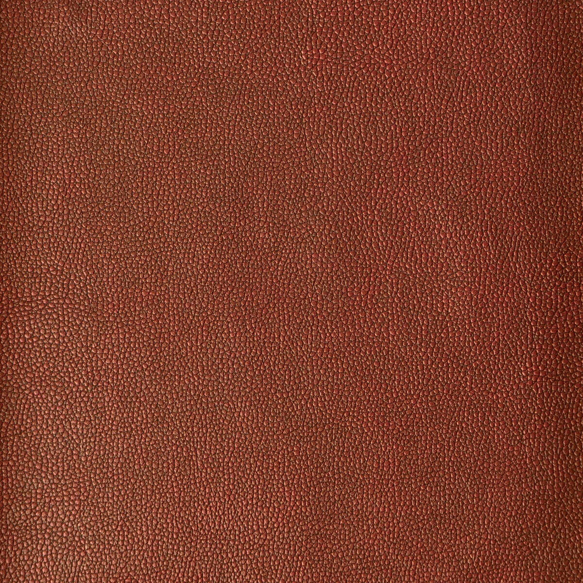 Kravet Design - Sparta-124