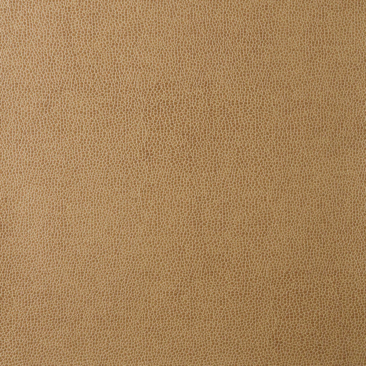 Kravet Design - Sparta-16
