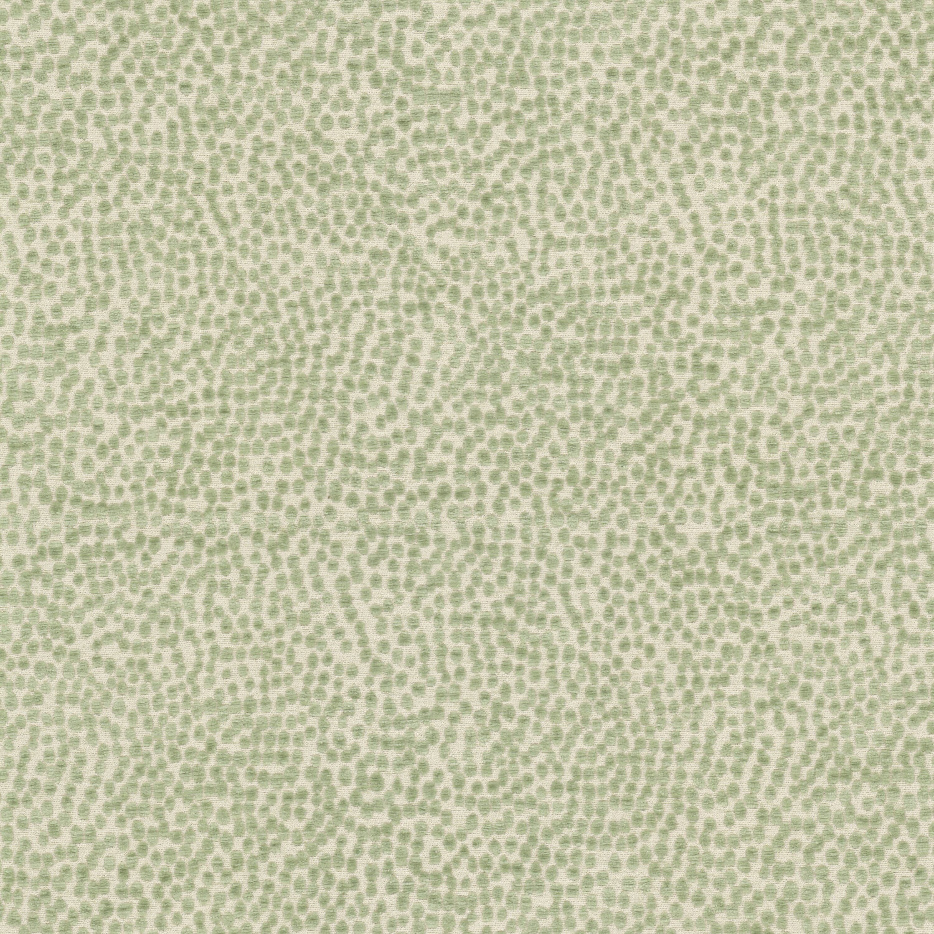 SPOTSWOOD-2-DEWKIST-STOUT-TEXTILES - Stout Textiles Fabric