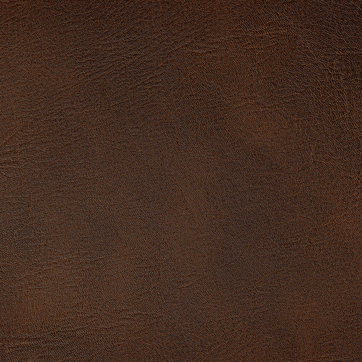Spur - Bronco - KRAVET CONTRACT Fabric