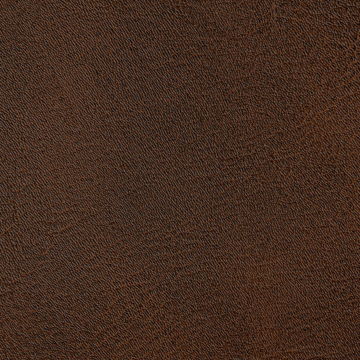 Spur - Bronco - KRAVET CONTRACT Fabric