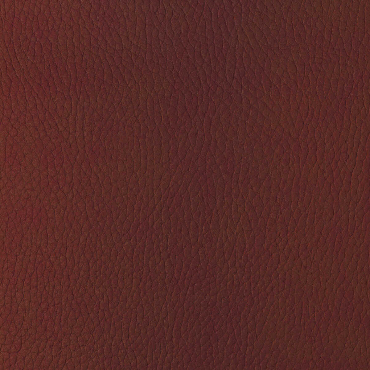 Kravet Design - Sugarmaple-19