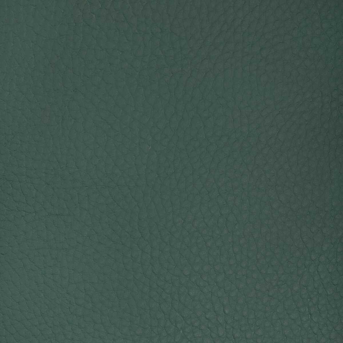 Kravet Design - Sugarmaple-3535