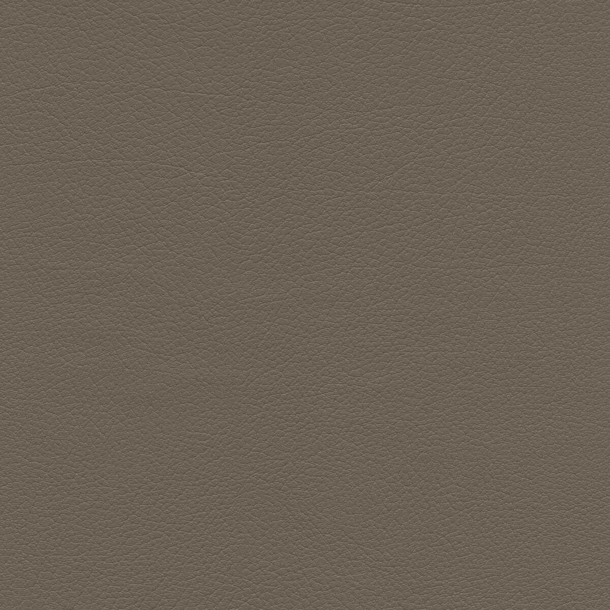 Kravet Design - Sumac-11 - KRAVET DESIGN Tela