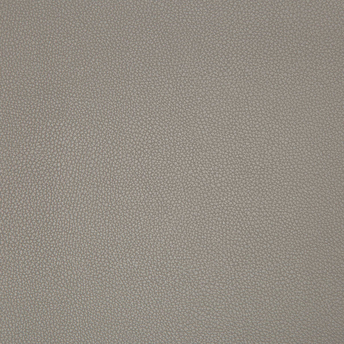 Syrus - Truffle - KRAVET CONTRACT Fabric