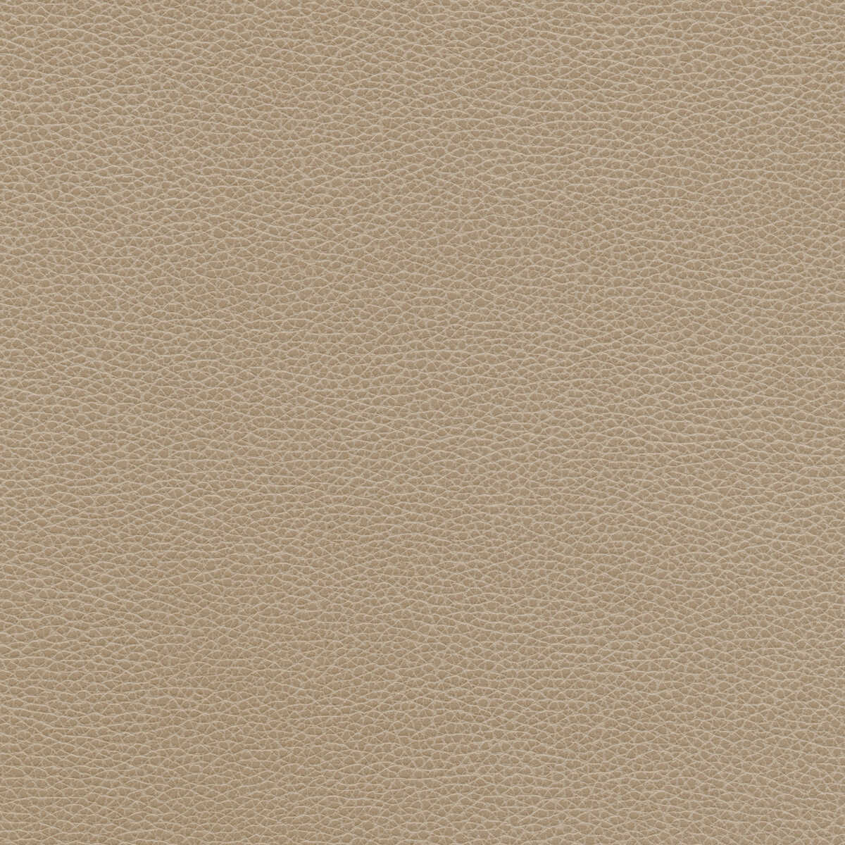 Kravet Design - Tannin-11 - KRAVET DESIGN Tela