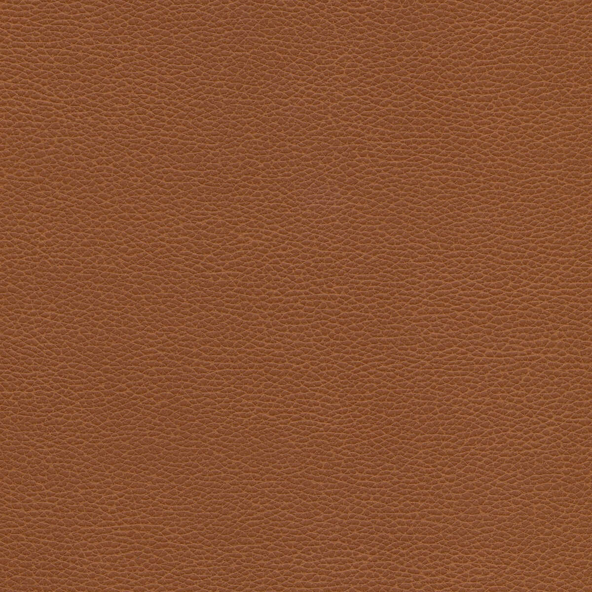 Kravet Design - Tannin-6 - KRAVET DESIGN Tela