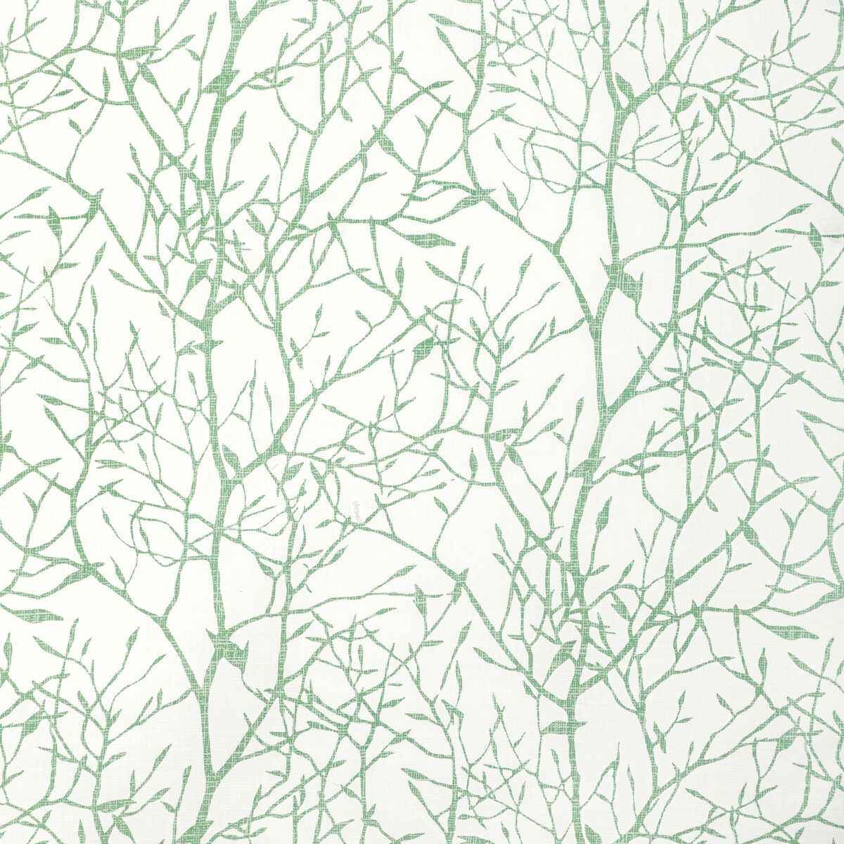 Timber-Top-Grass-Kravet-Basics-Fabric - KRAVET BASICS Fabric