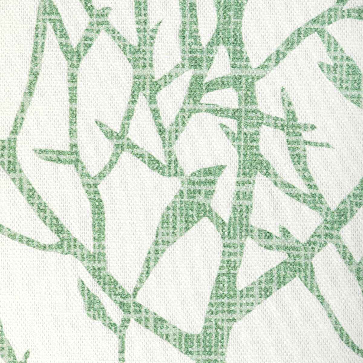 Timber-Top-Grass-Kravet-Basics-Fabric - KRAVET BASICS Fabric