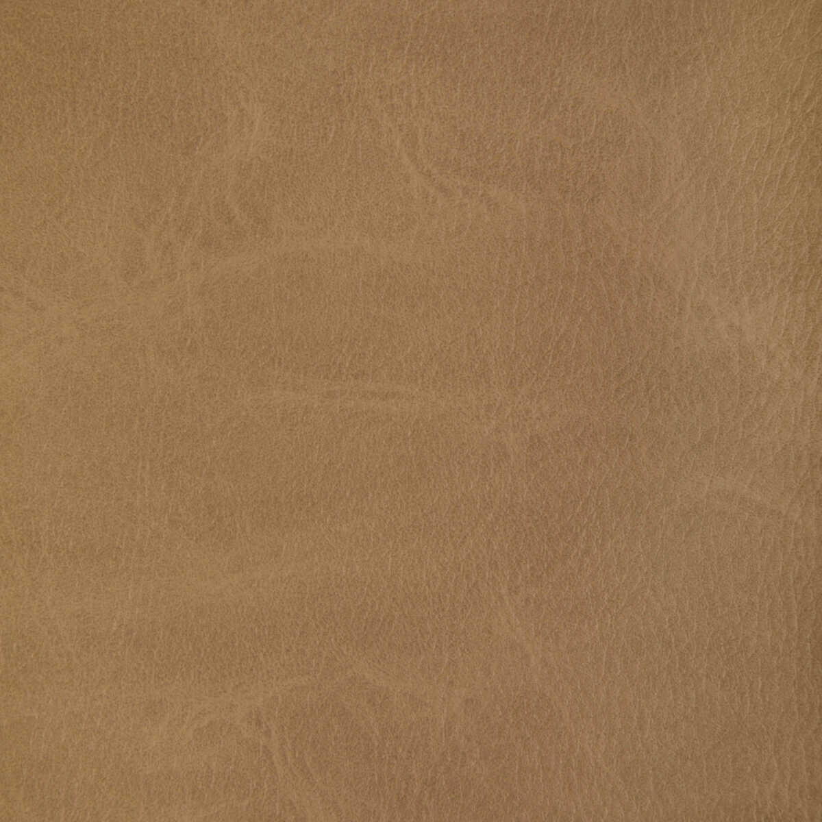 Toni - Moccasin - KRAVET CONTRACT Fabric