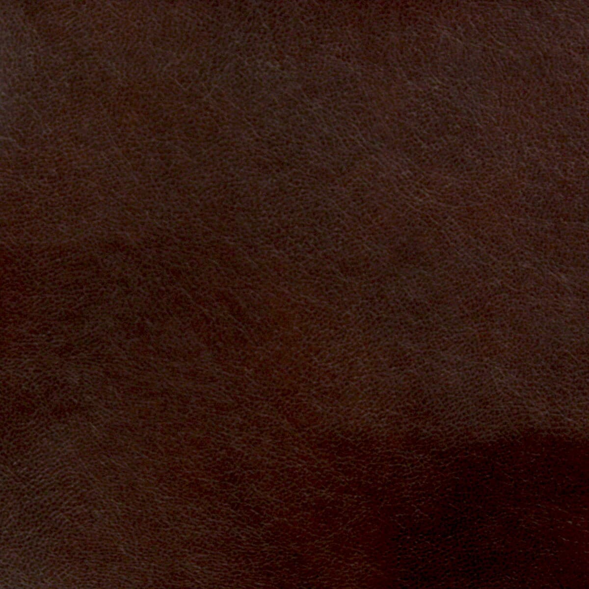 Turco 7 Espresso by Stout Fabric