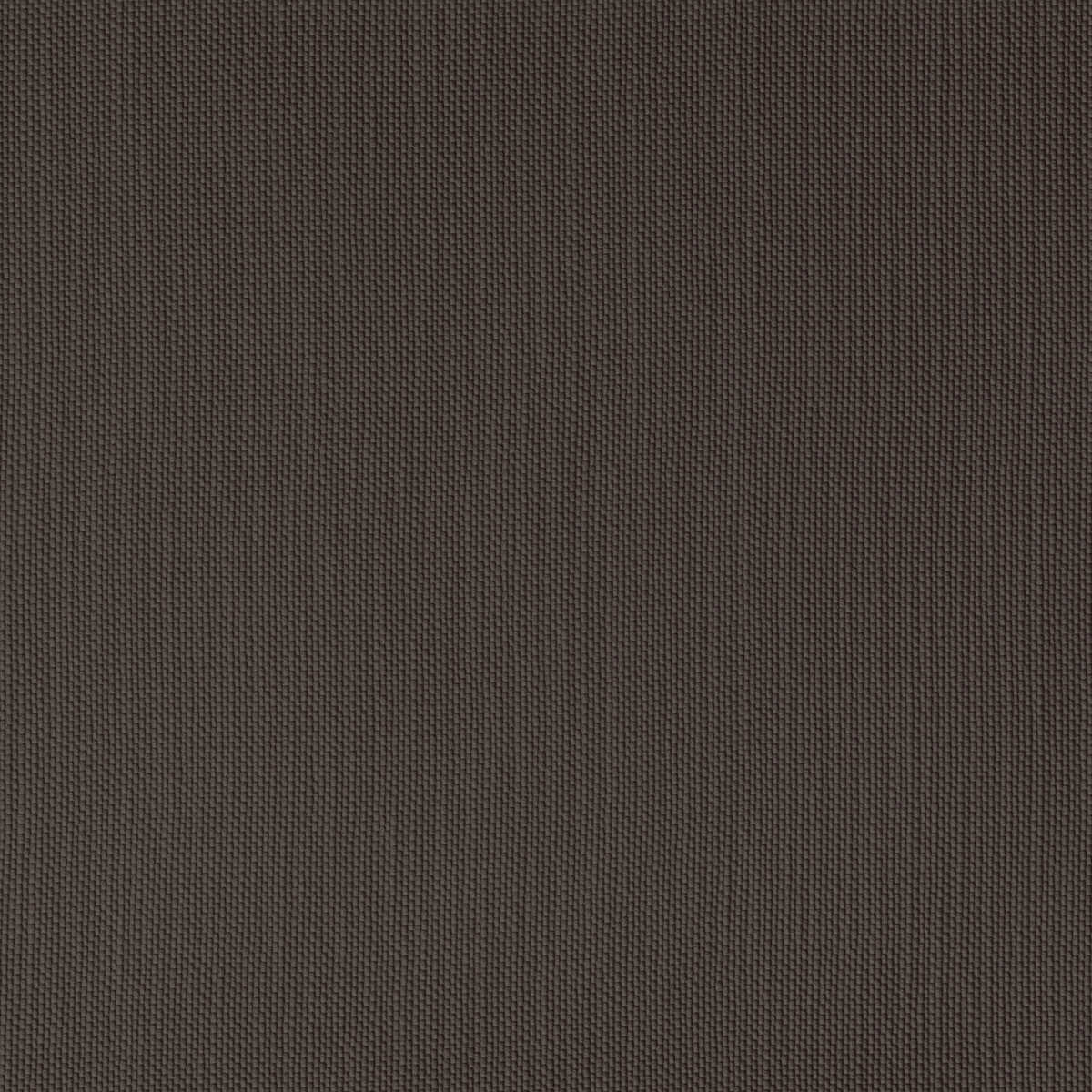 Ventura - Cocoa