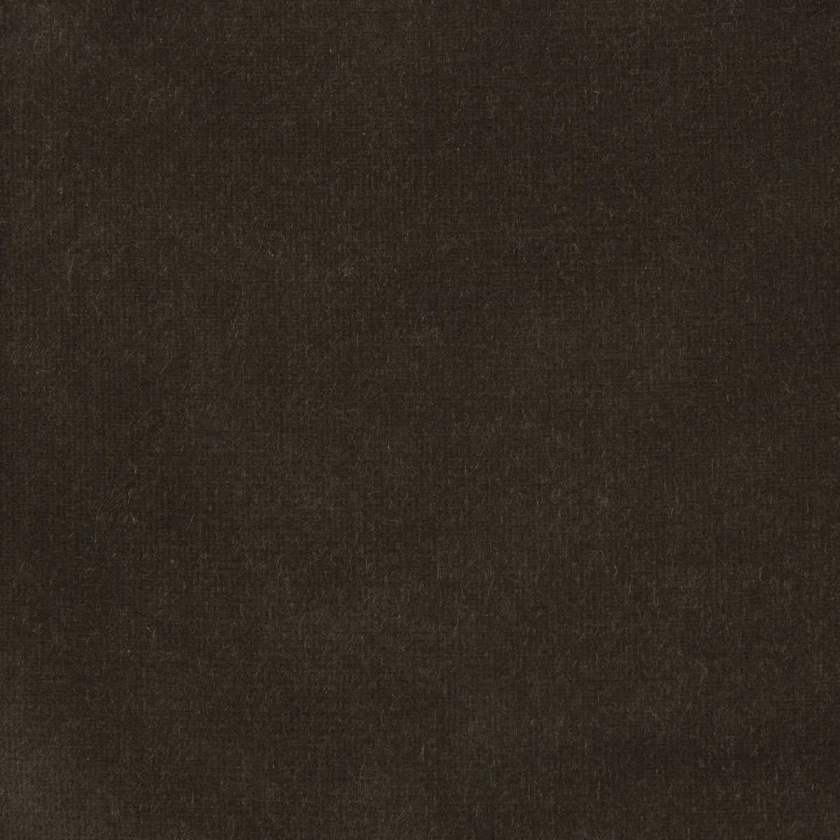 Kravet Design - Versailles-E205370