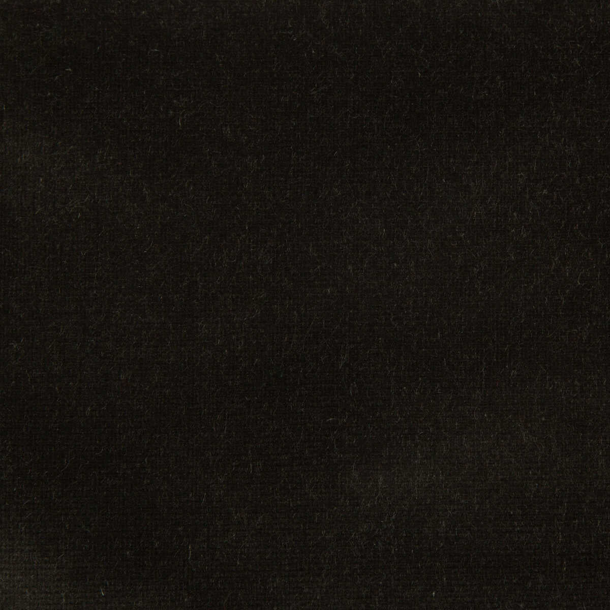 Kravet Design - Versailles-E207000
