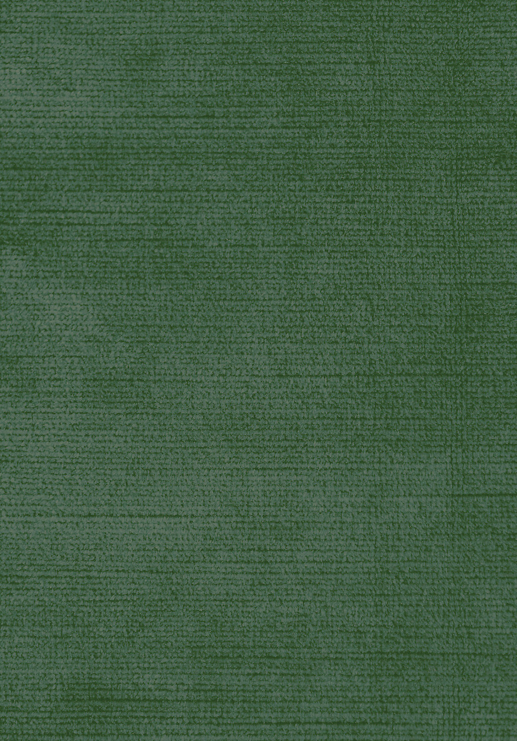 Antique Velvet - Chive - Scalamandre Fabric