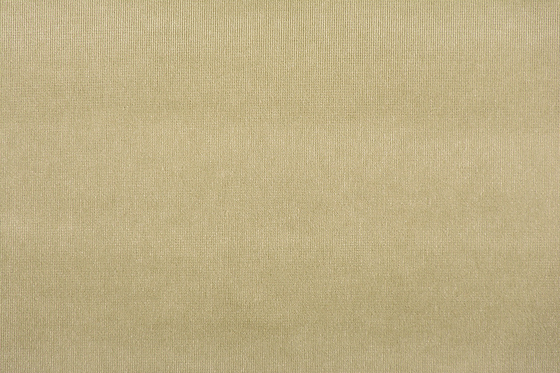 Glamour Velvet - Loden - Scalamandre Fabric