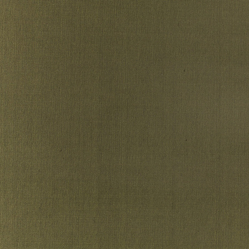 Pacific Silk - Poplar - Scalamandre Fabric