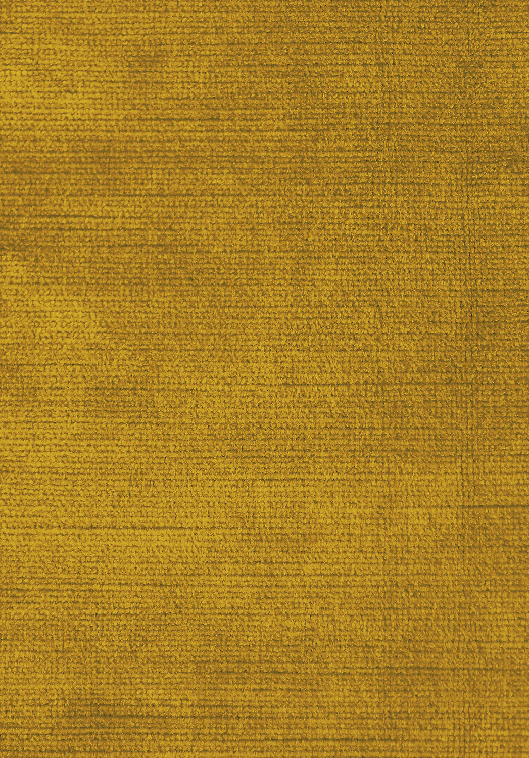 Antique Velvet - Mineral Yellow - Scalamandre Fabric