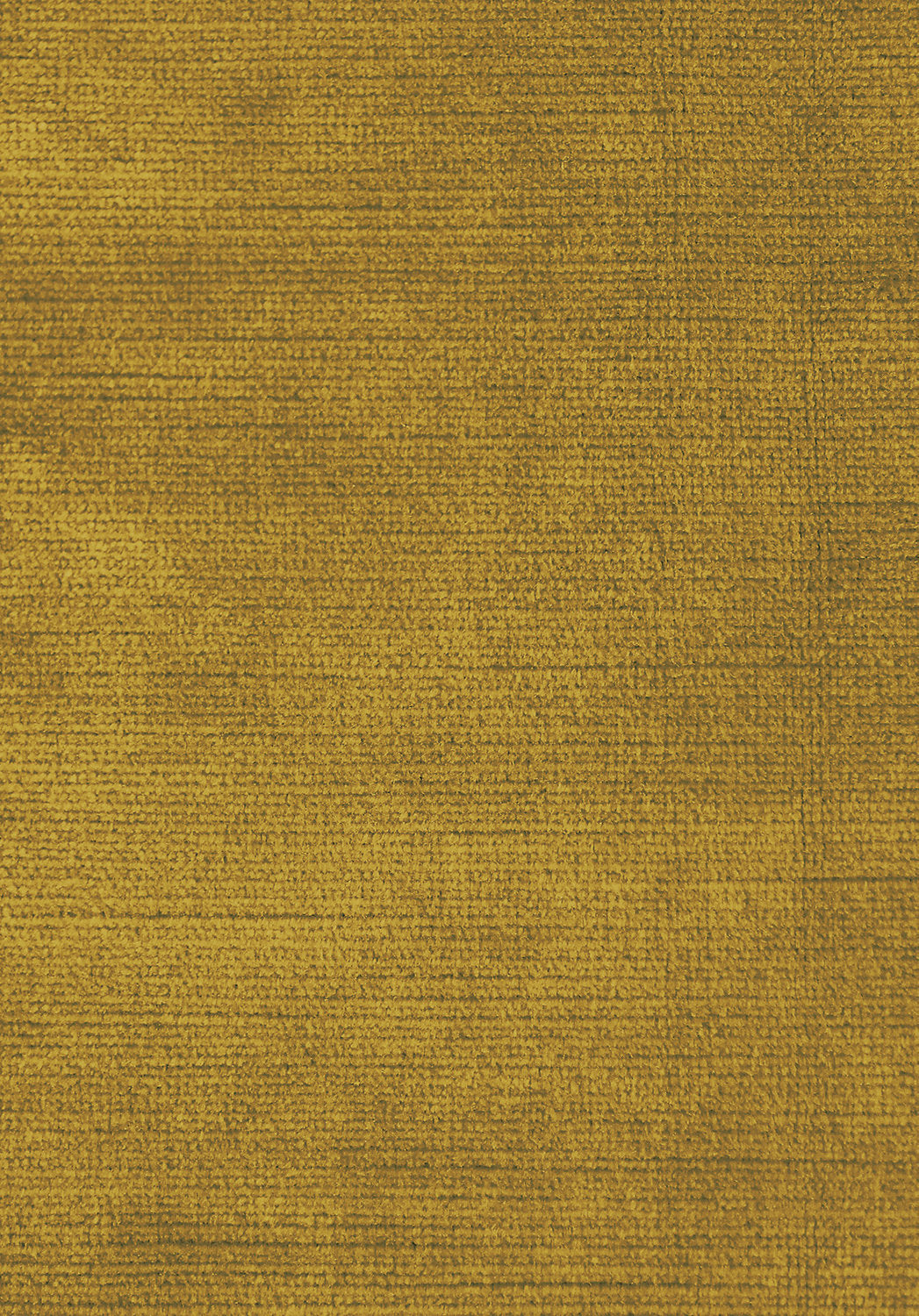 Antique Velvet - Honey Mustard - Scalamandre Fabric