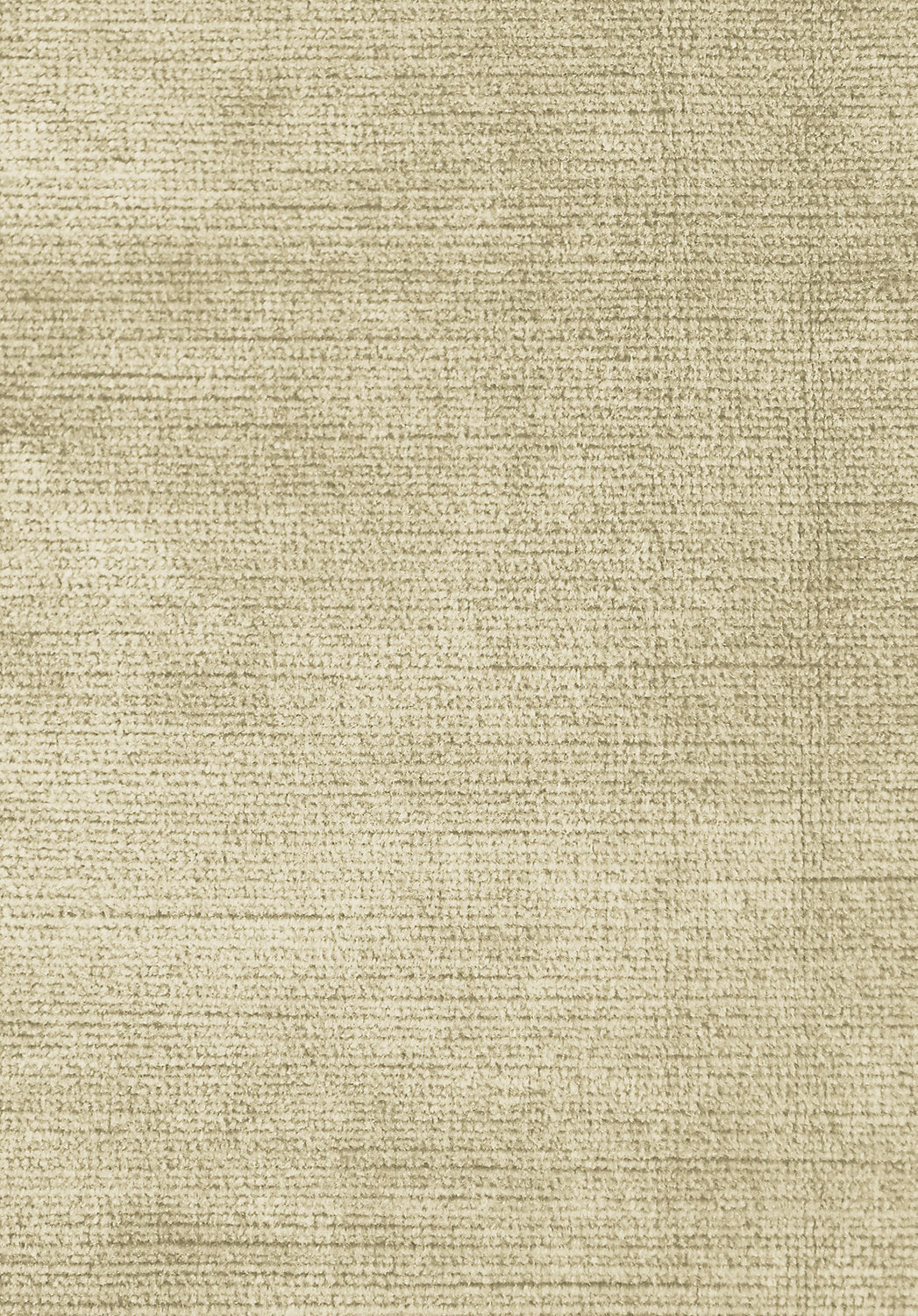 Antique Velvet - Biscotti - Scalamandre Fabric