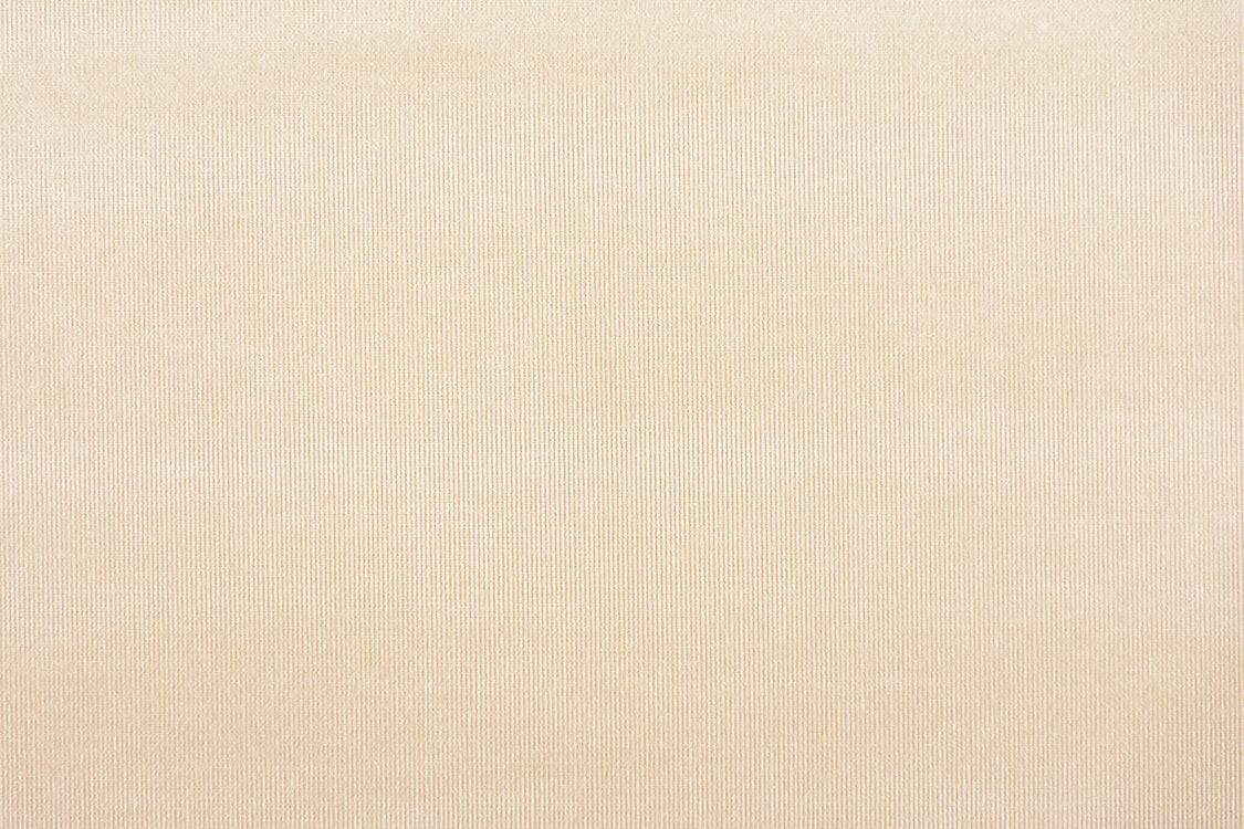 Glamour Velvet - Almond - Scalamandre Fabric