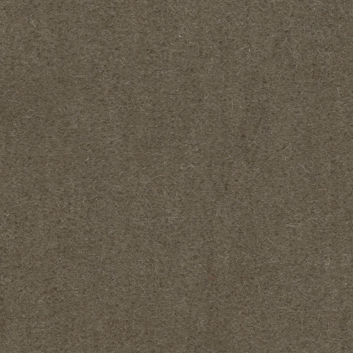 Majestic Mohair - Mushroom - Scalamandre Fabric