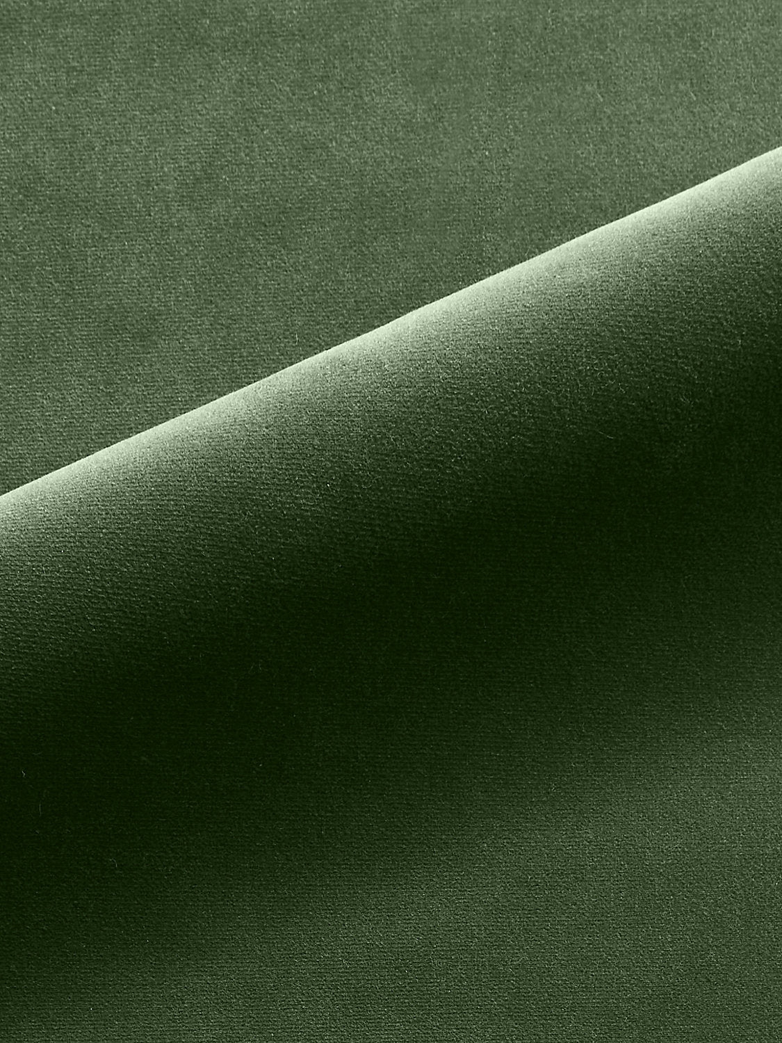 Linley - Black Olive - Scalamandre Fabric