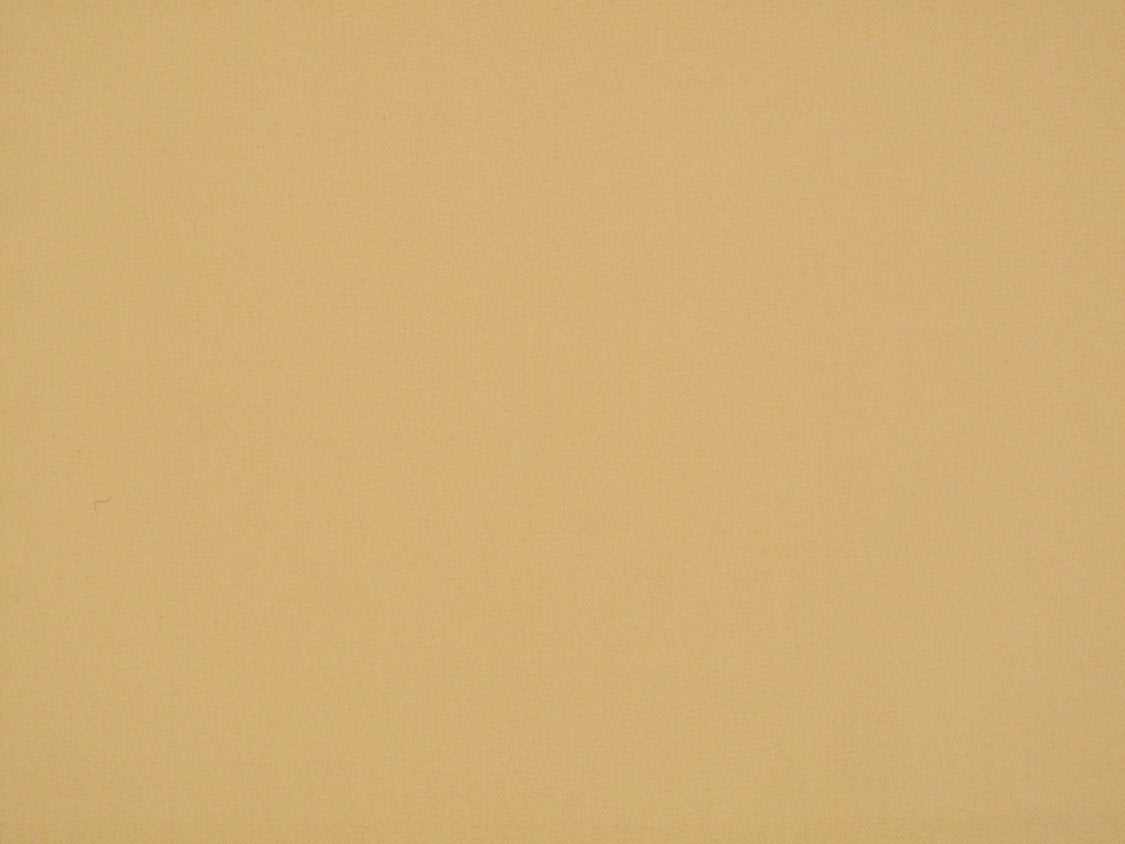 Rio - Camel - Scalamandre Fabric