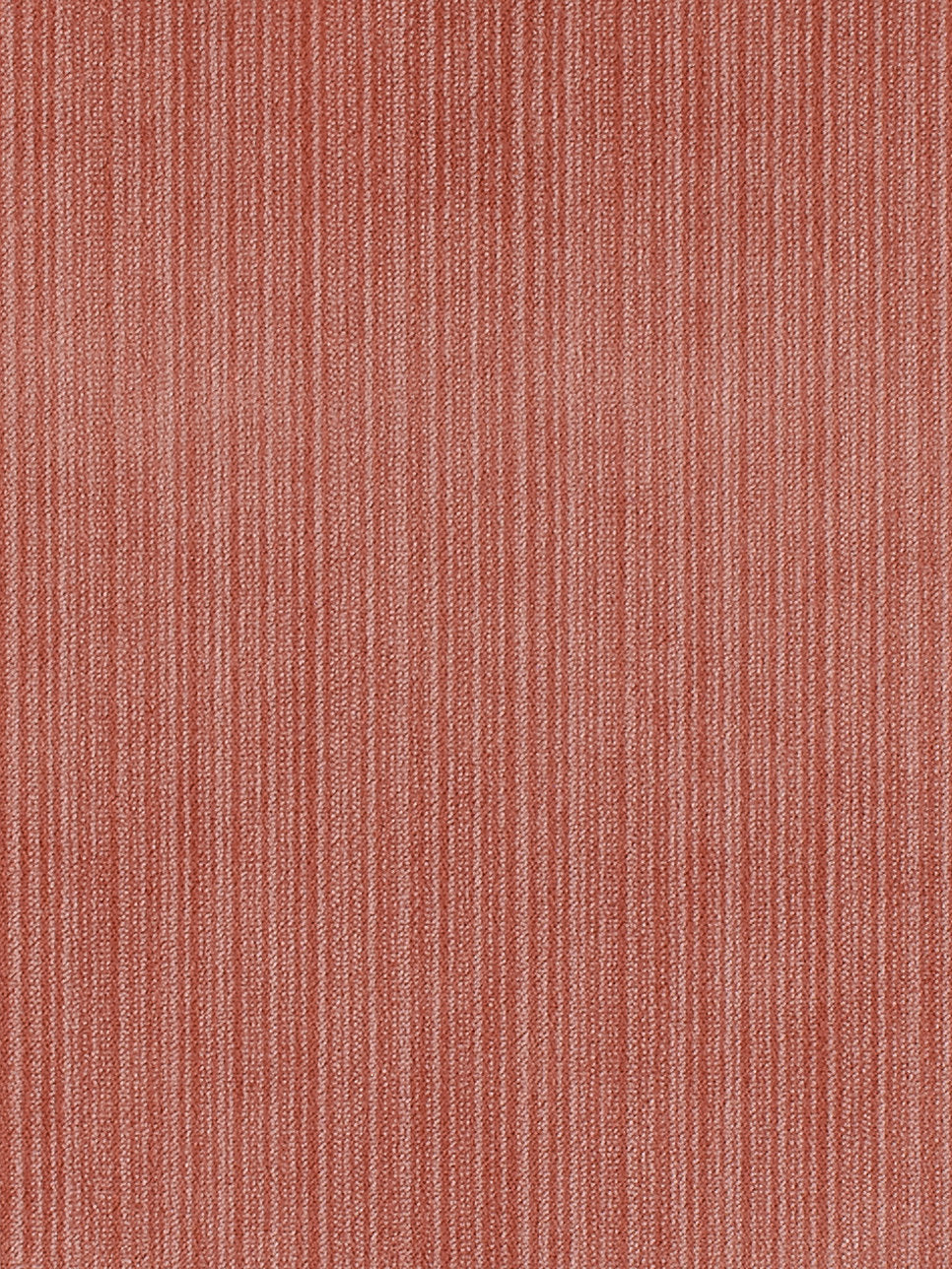 Strie Velvet - Hibiscus - Scalamandre Fabric