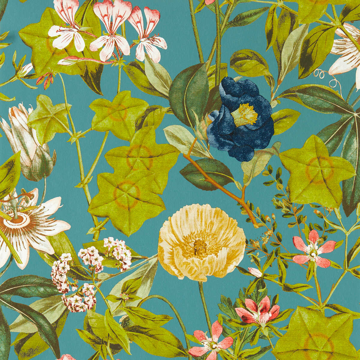 Passiflora - Chambray Wp - CLARKE AND CLARKE Wallpaper