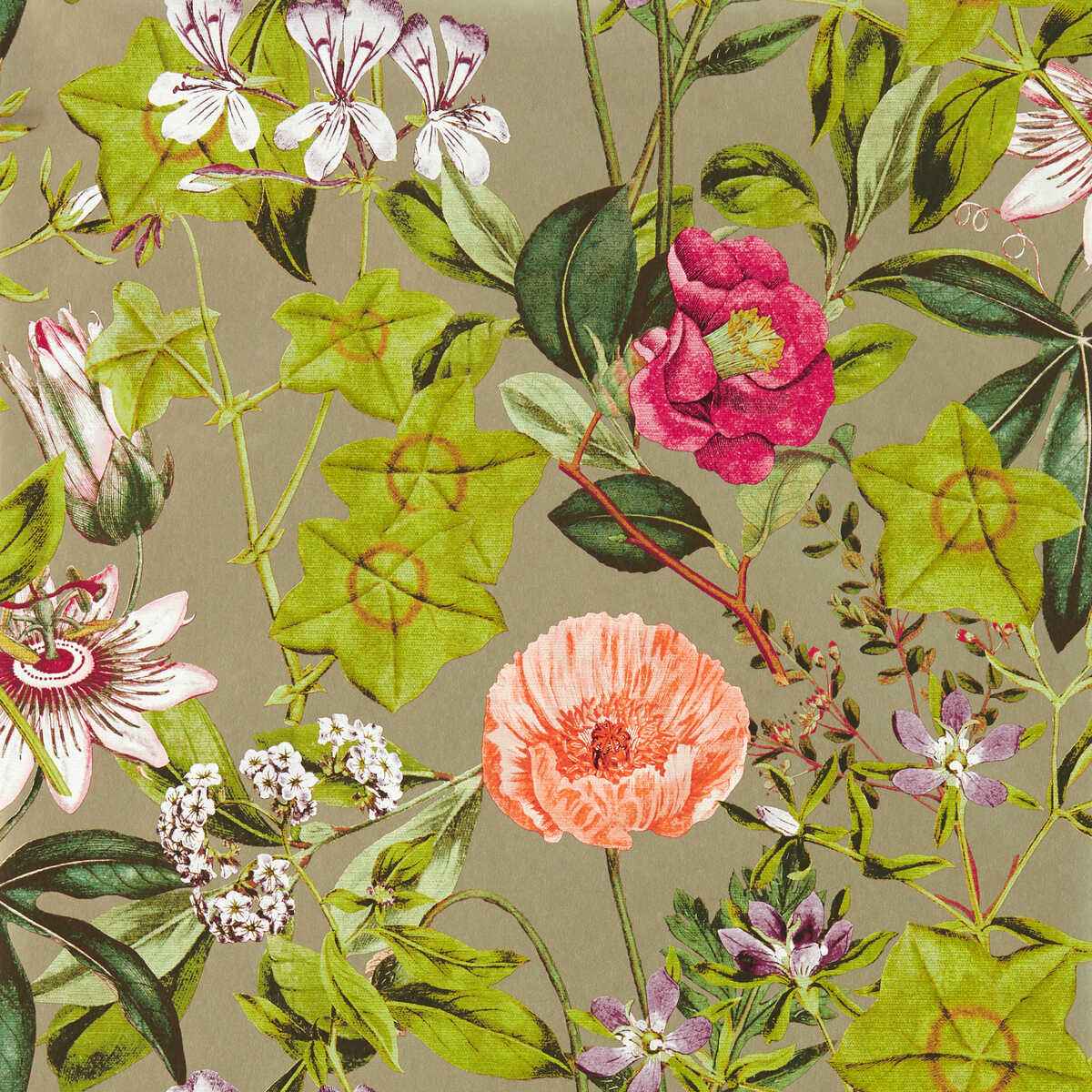 Passiflora-Mulberry-Gilver-Wp-Clarke-And-Clarke-Wallpaper