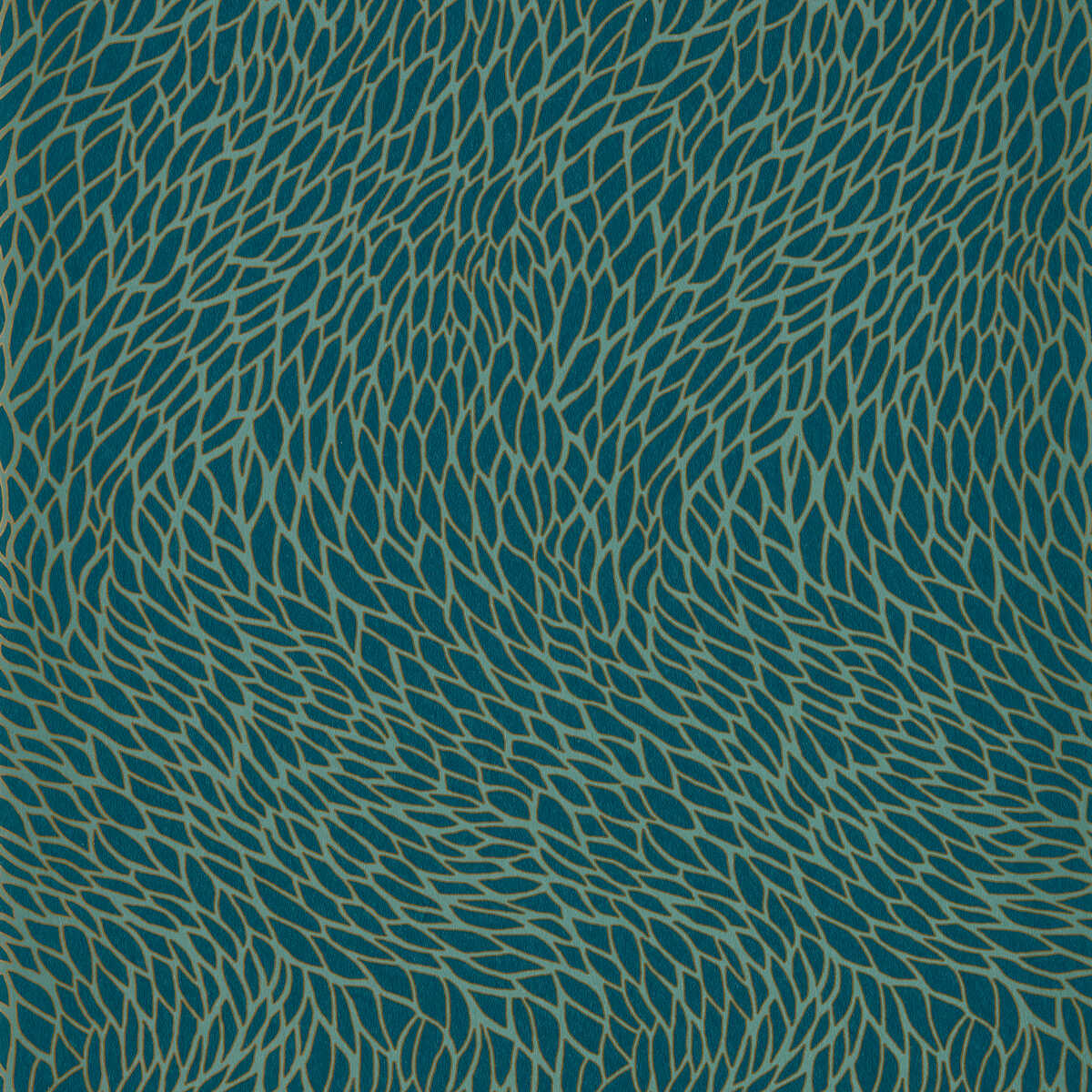 Corallino - Teal Wp
