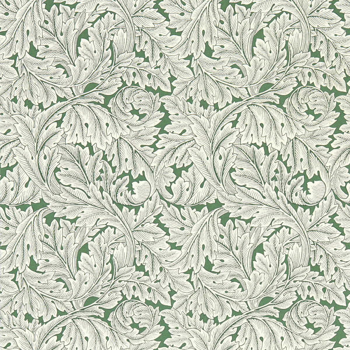 Acanthus Wp - Sage - CLARKE AND CLARKE Papel pintado