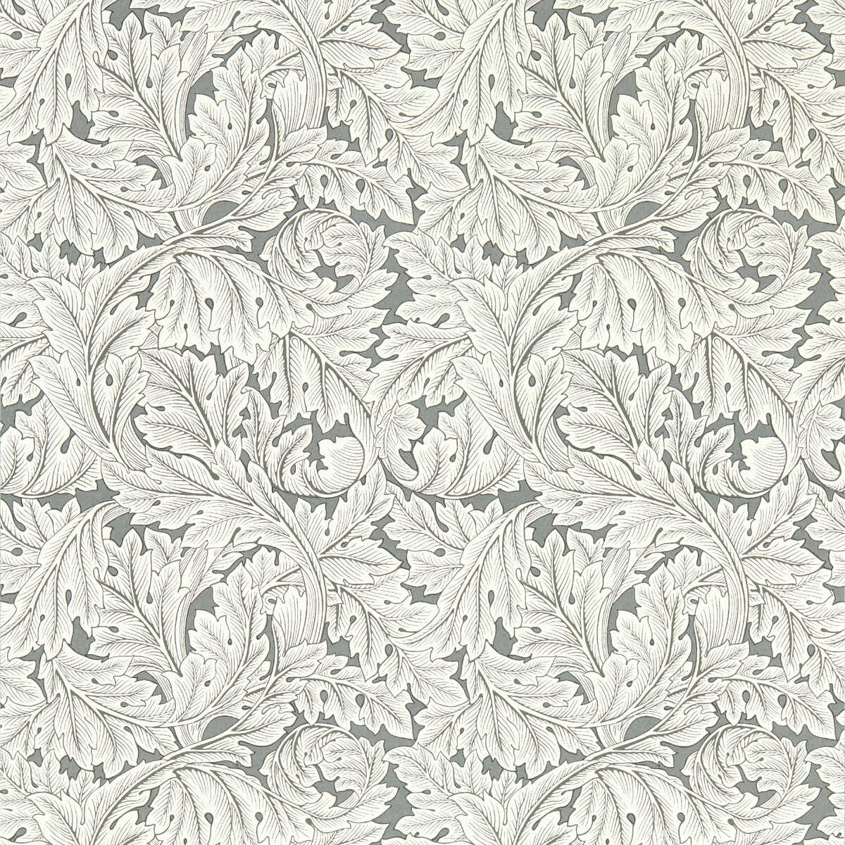 Acanthus Wp - Slate - CLARKE AND CLARKE Papel pintado