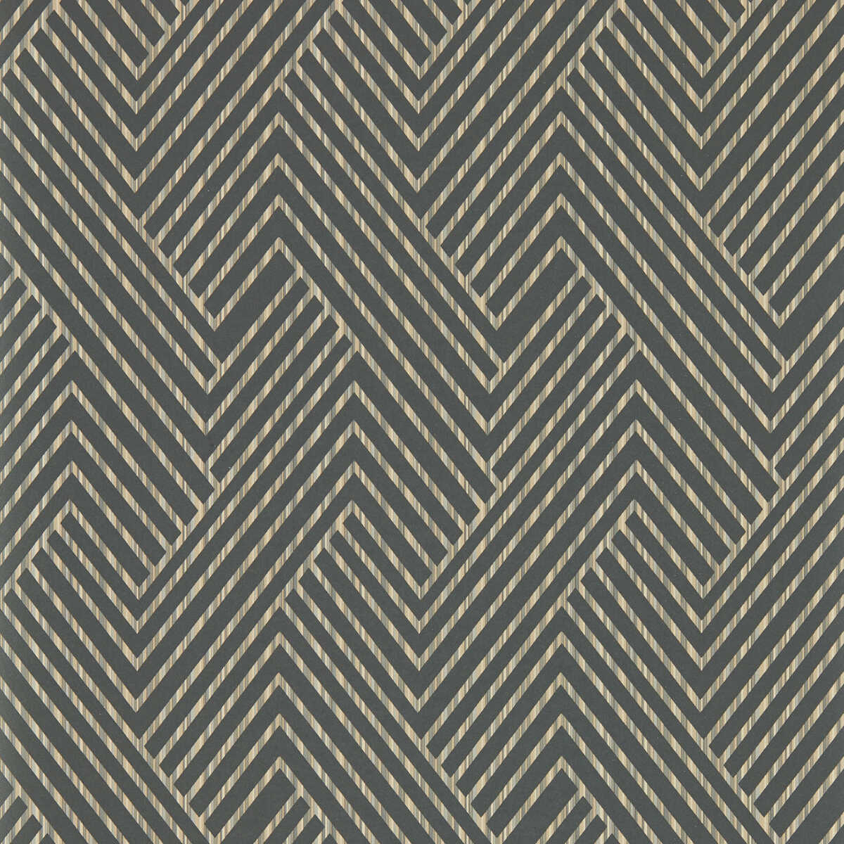 Grassetto - Charcoal Wp - CLARKE AND CLARKE Wallpaper