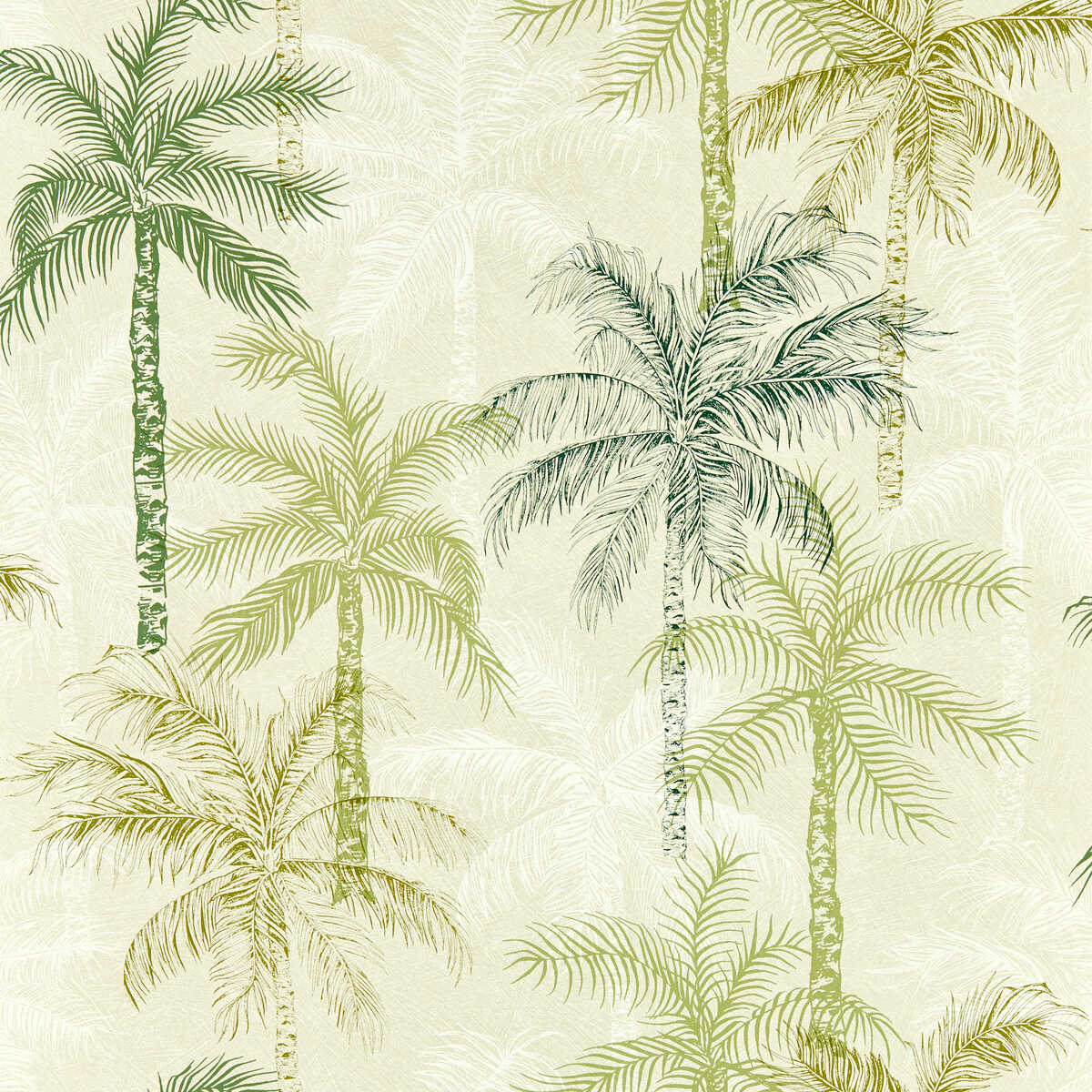 Palmyra - Palm Wp