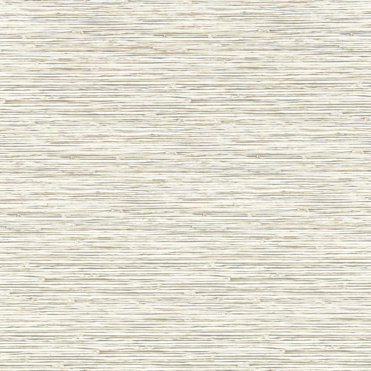 Xan - Parchment Wp - CLARKE AND CLARKE Wallpaper
