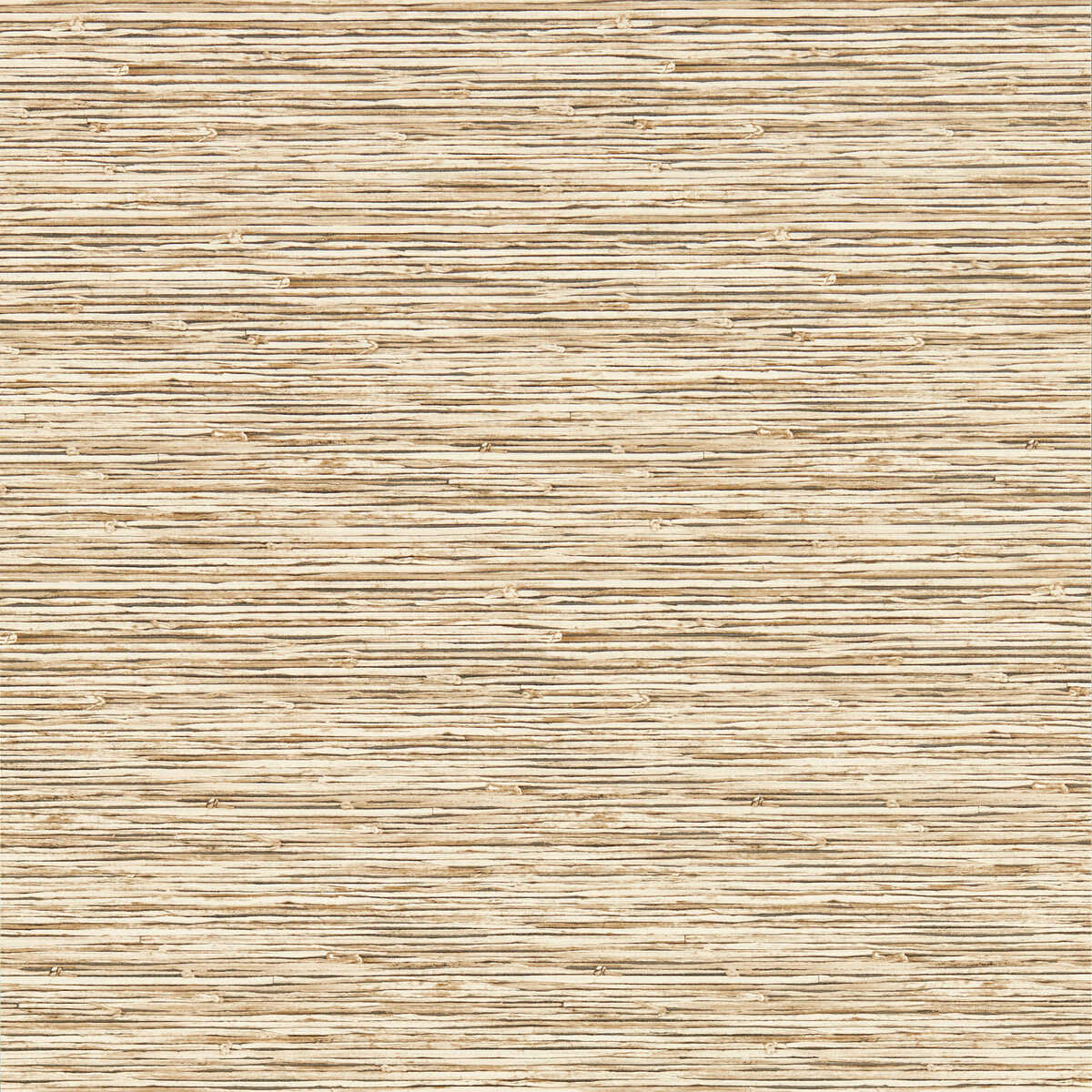 Xan - Sahara Wp - CLARKE AND CLARKE Wallpaper