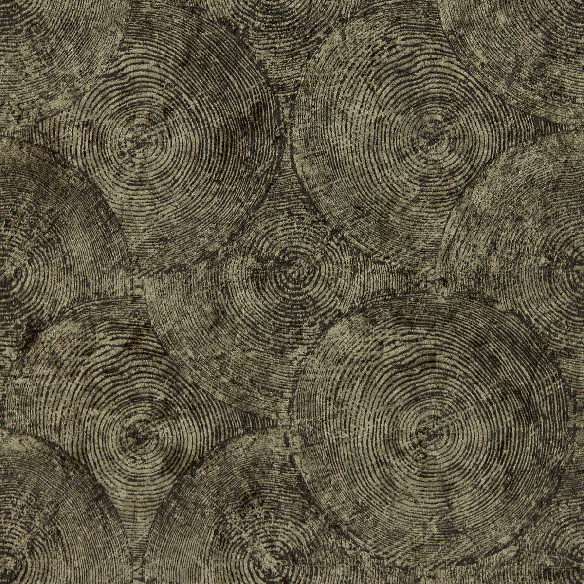 Silvan - Charcoal Gilver Wp - CLARKE AND CLARKE Wallpaper
