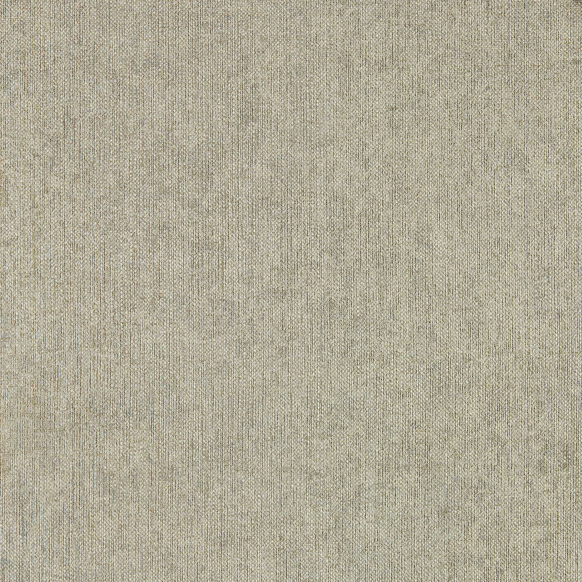 Texo - Pebble Wp