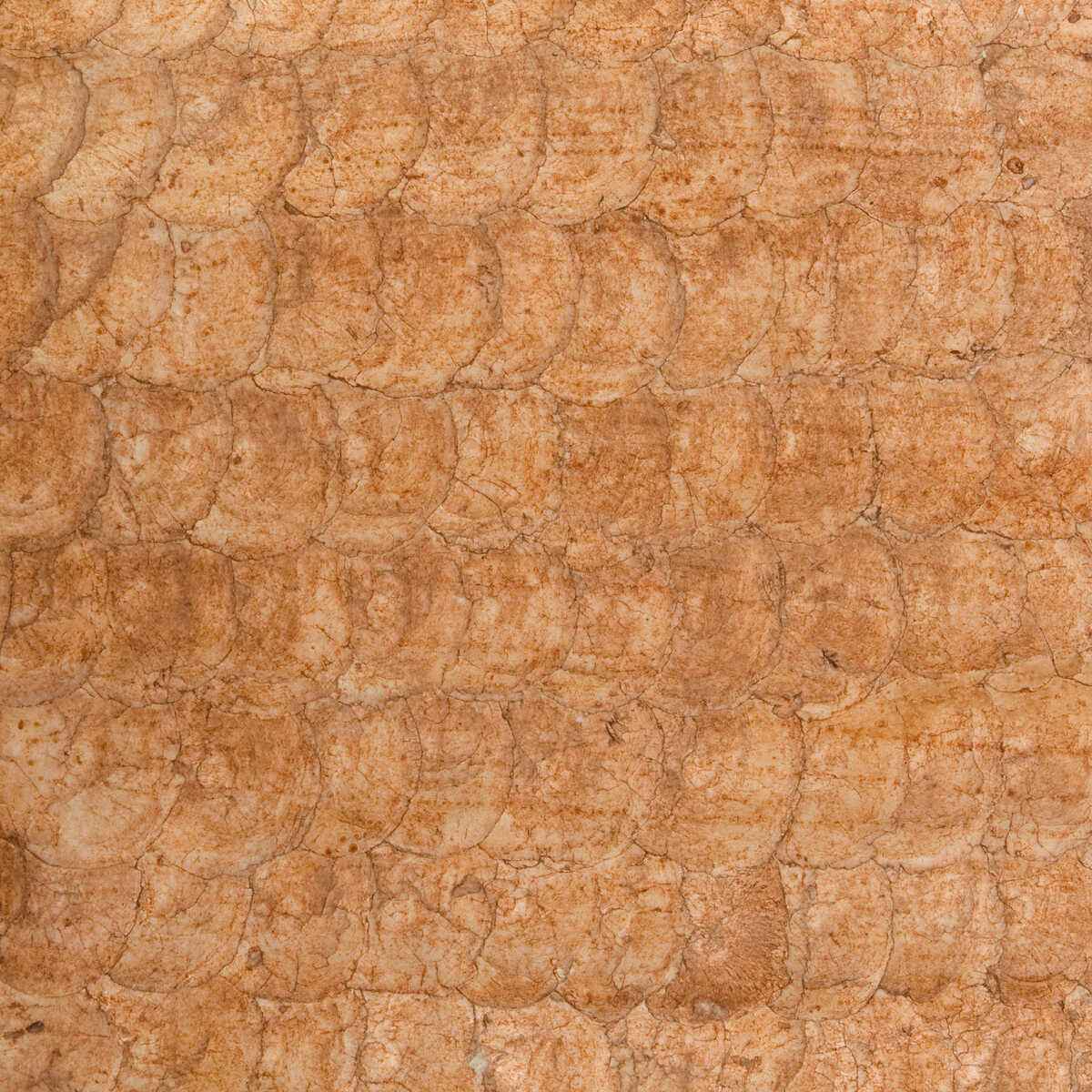 W3198-24-Kravet-Couture-Wallpaper