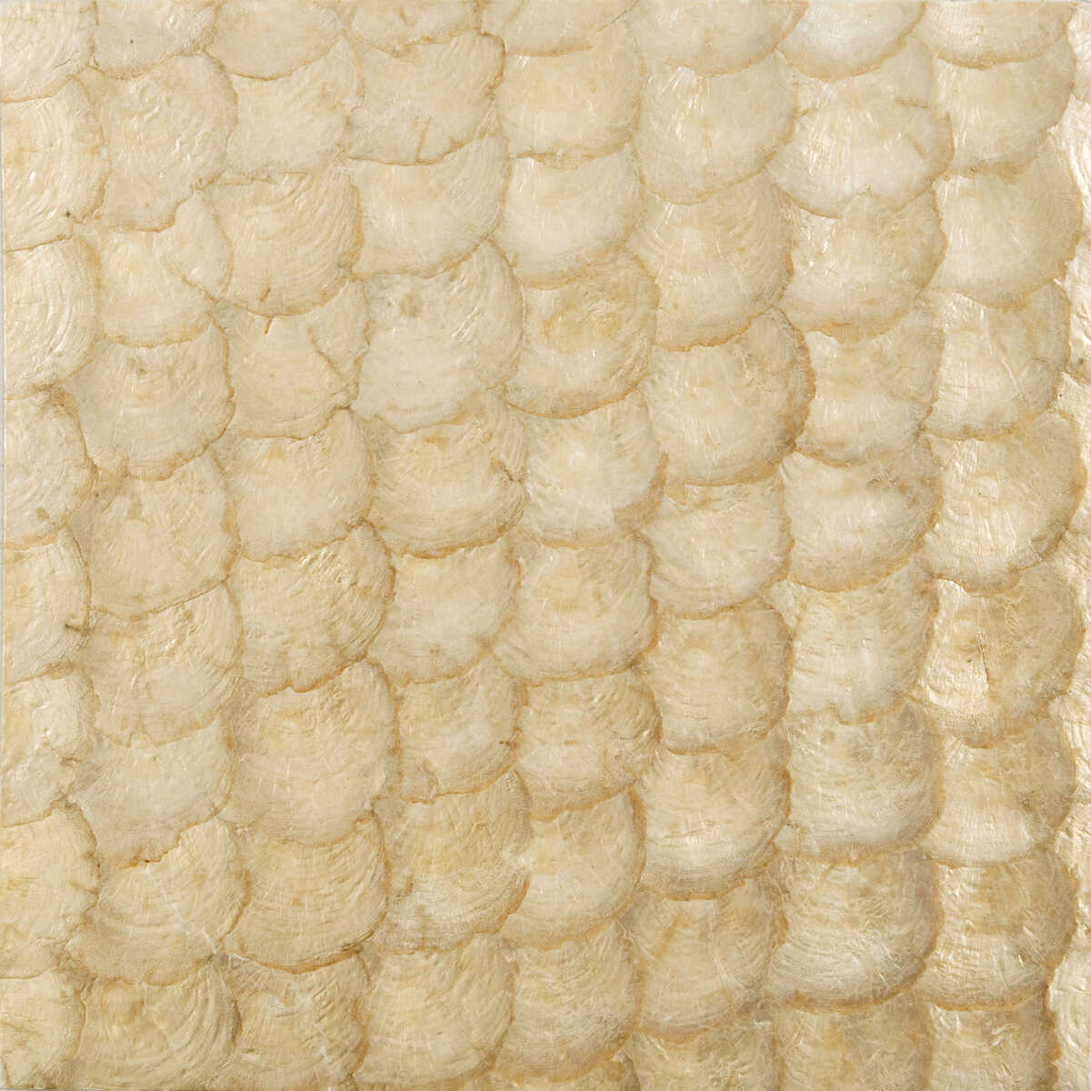 Kravet Couture - W3198-4 - KRAVET COUTURE Wallpaper