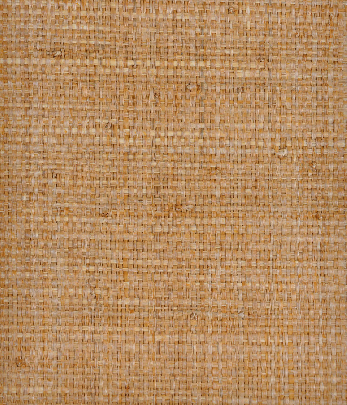 Kravet Design - W3261-414 - KRAVET DESIGN Wallpaper