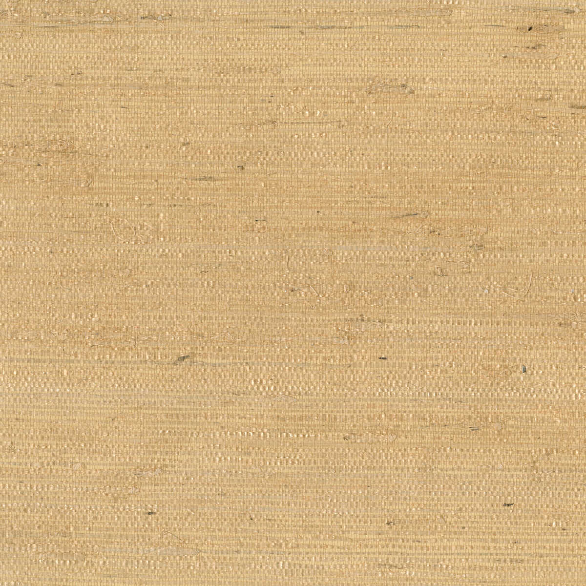 Kravet Design - W3303-14 - KRAVET DESIGN Wallpaper